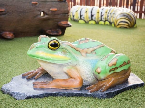 Frog Seat | Jungle Play