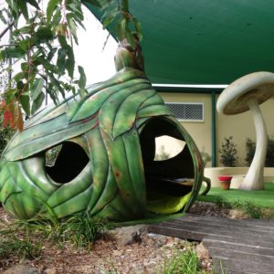 Gum Leaf Pod | Jungle Play