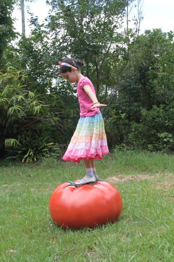 Jungle Play Giant Tomato