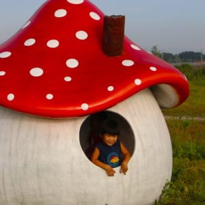 Jungle Play Mushroom Playhouse