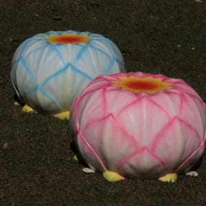 Jungle Play Pink and Blue Lotus Lily Seats