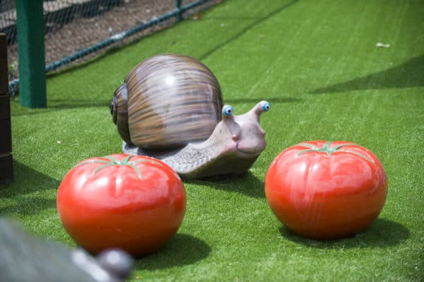 Jungle Play Tomatoes and Snail