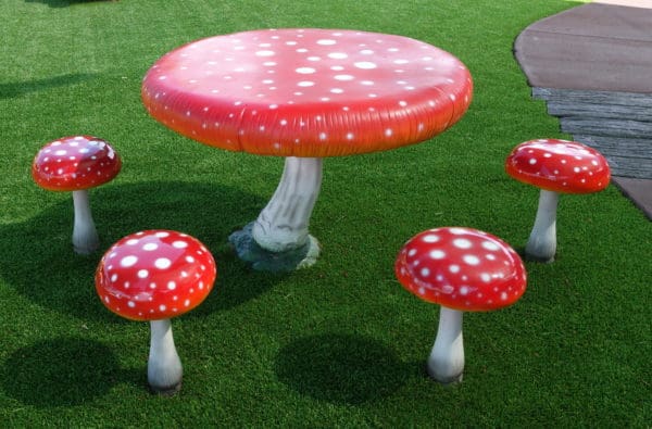 Jungle Play Toadstool Mushroom Table and Chair Set
